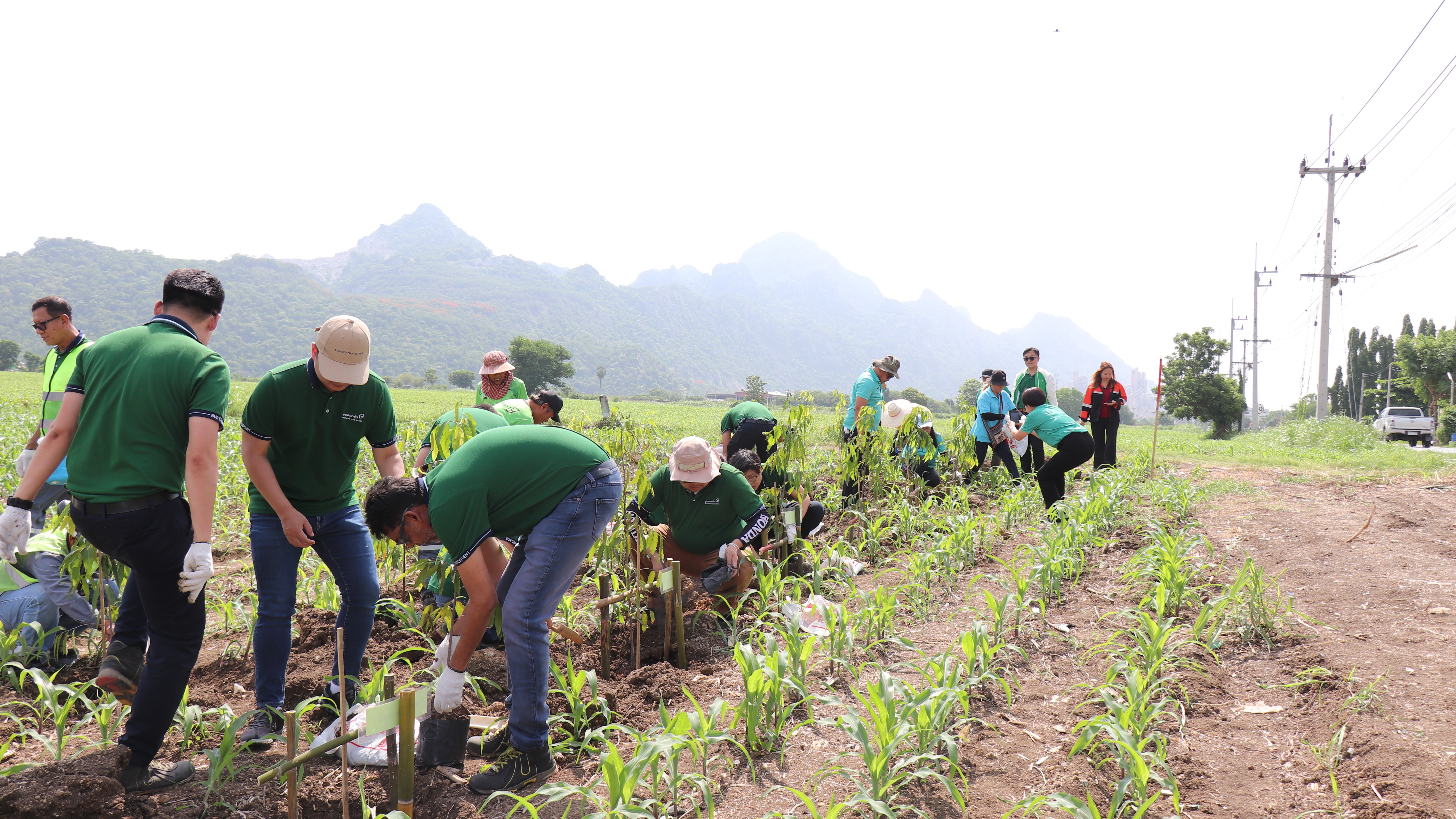 2025 06 05 World Environment Day 2025 35