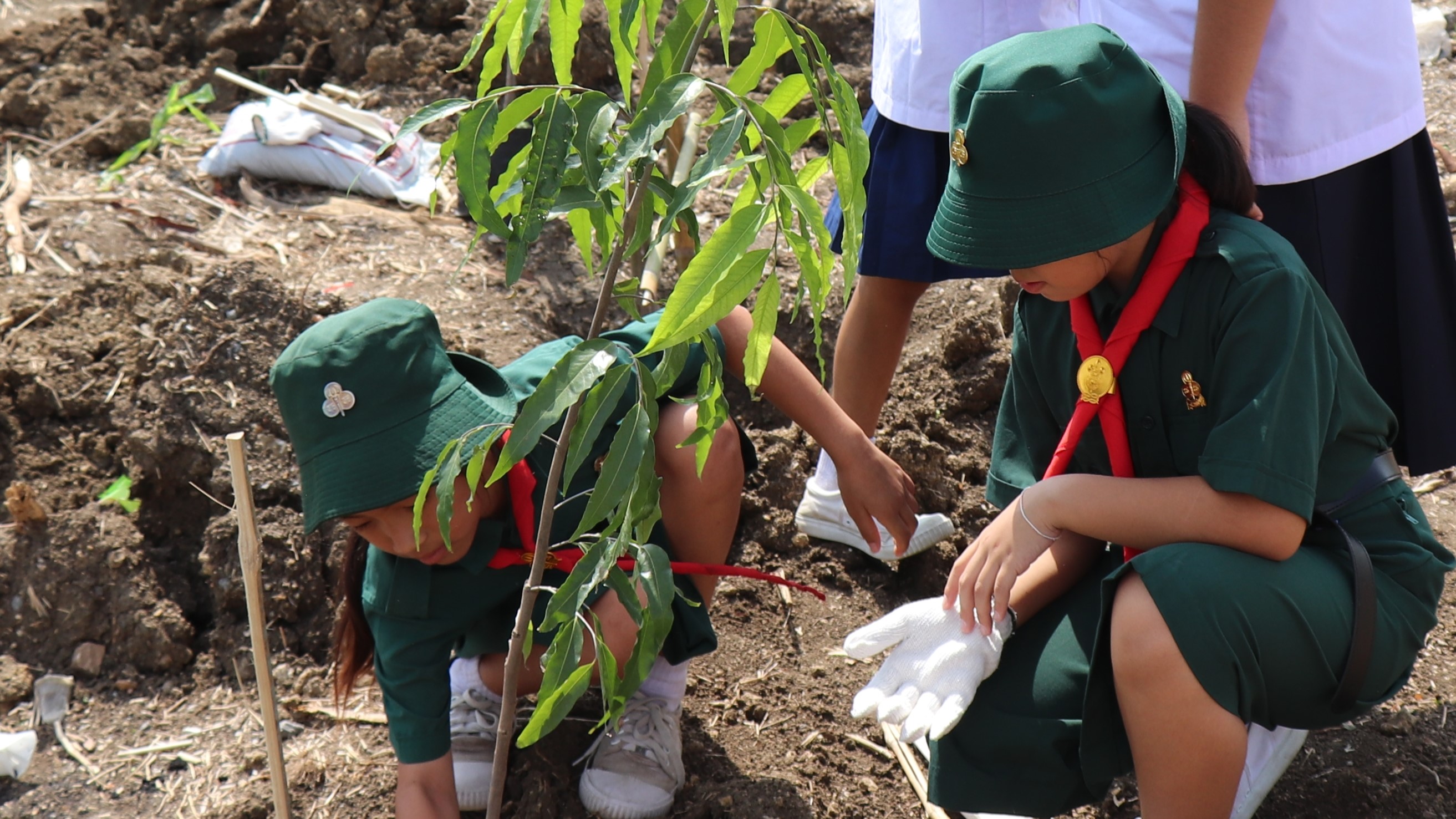 2025 06 05 World Environment Day 2025 43